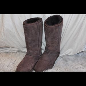 Dark brown Tall Ugg boots, New w/o tags.